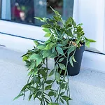 Green Garden Apartmán *