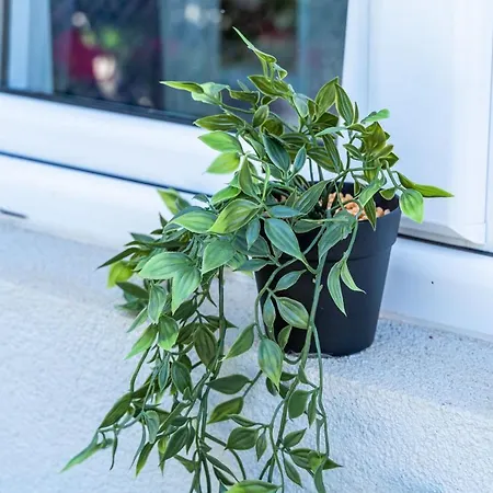 Green Garden Apartman *